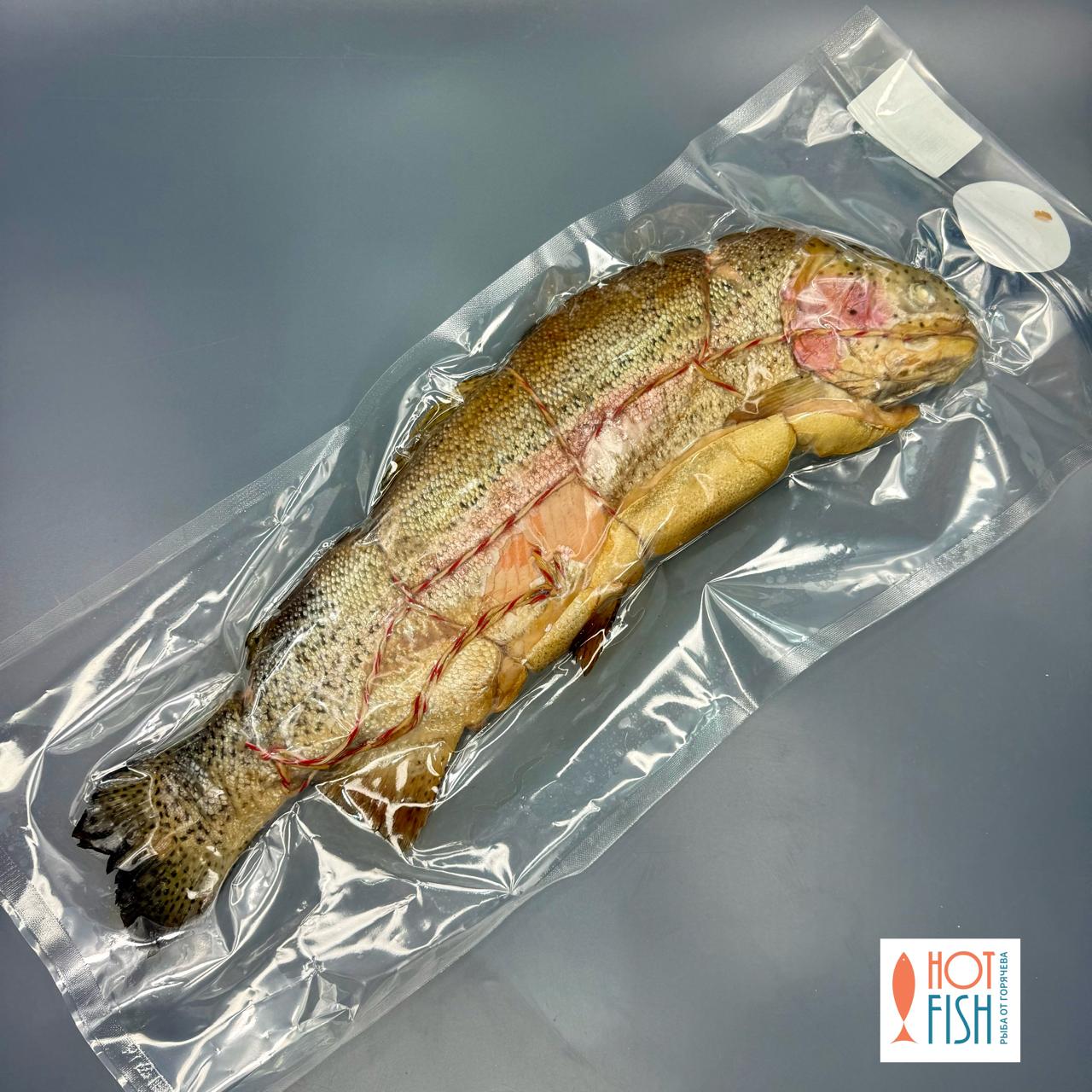 WhatsApp Image 2025-11-28 at 12.42.26