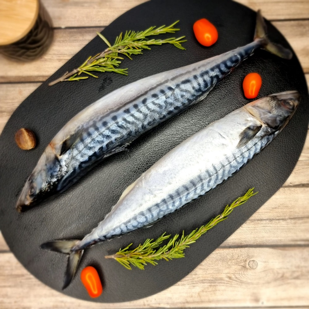 скумбрия с головой скумбрия с головой