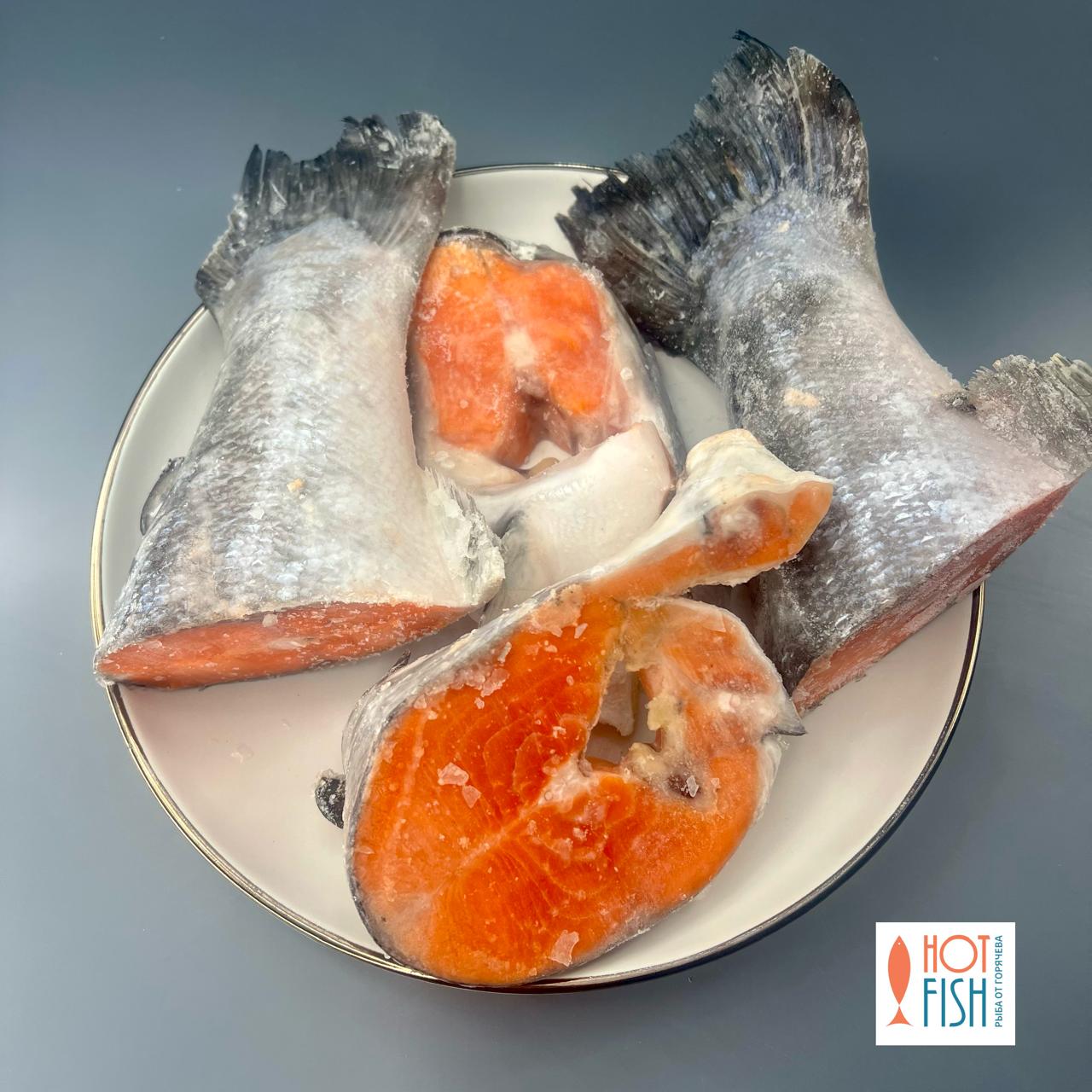 WhatsApp Image 2025-11-12 at 13.05.00