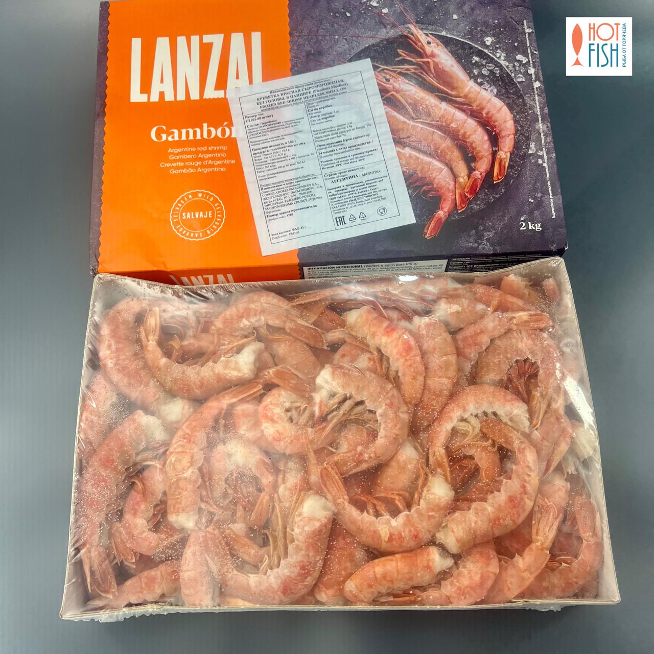 WhatsApp Image 2025-10-13 at 11.20.26 (1)