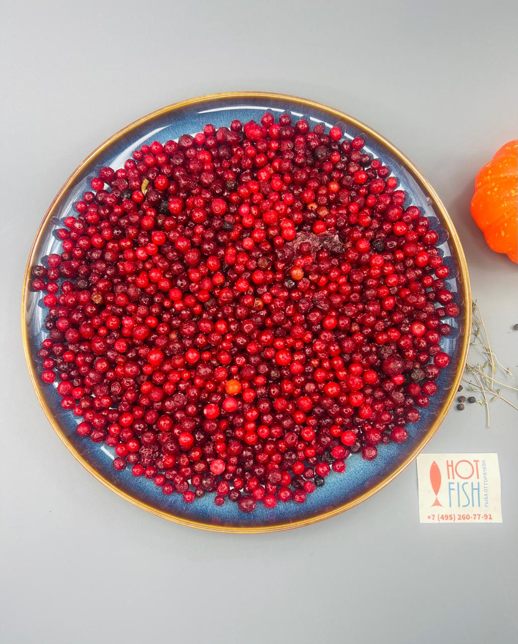 WhatsApp Image 2025-06-23 at 13.33.09