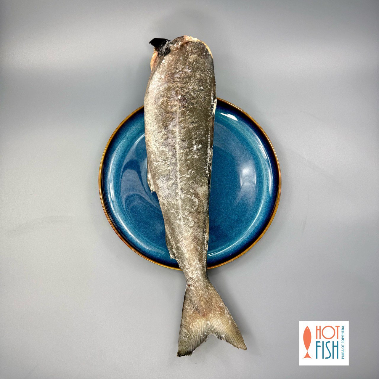 photo_5465654130127867043_y