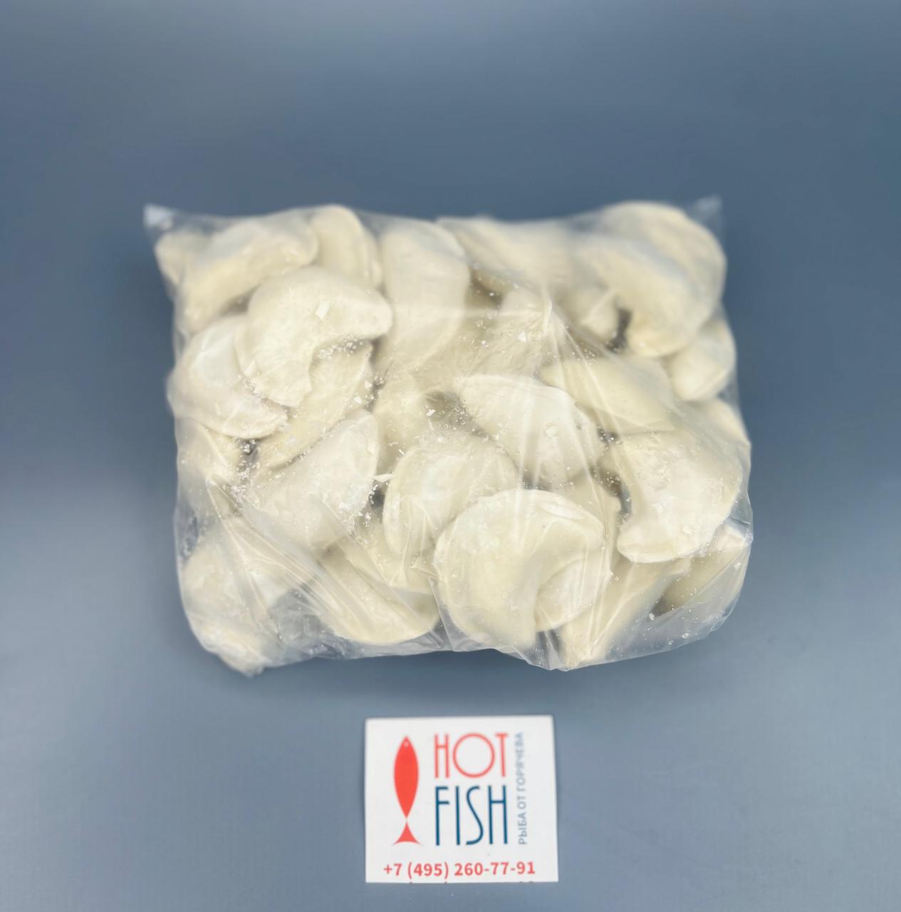 WhatsApp Image 2025-03-31 at 11.24.19