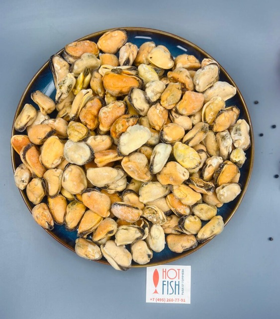 WhatsApp Image 2025-06-16 at 12.48.04