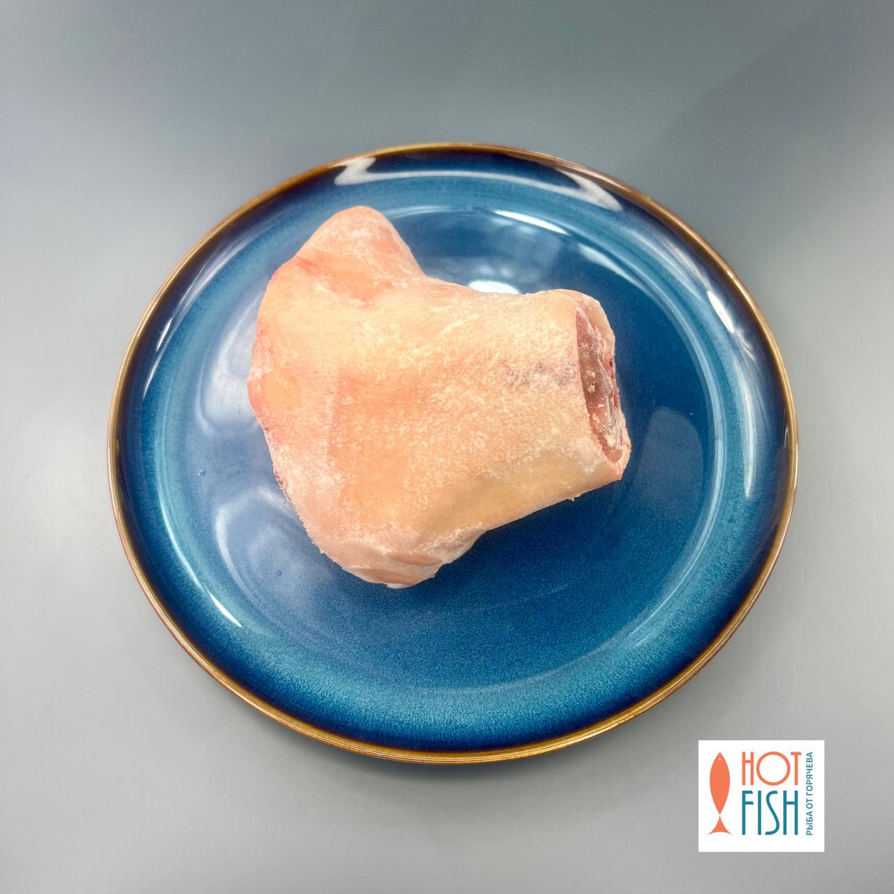 WhatsApp Image 2025-10-14 at 09.36.30