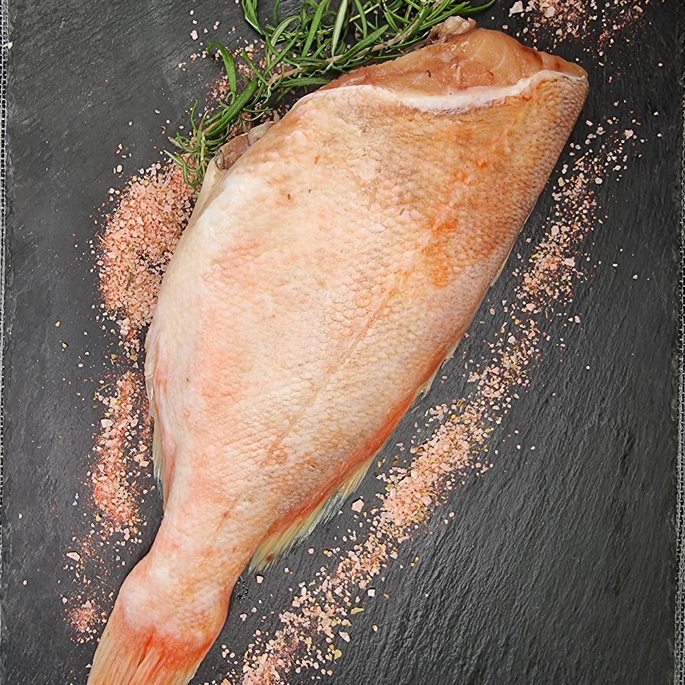 окунь золотистый