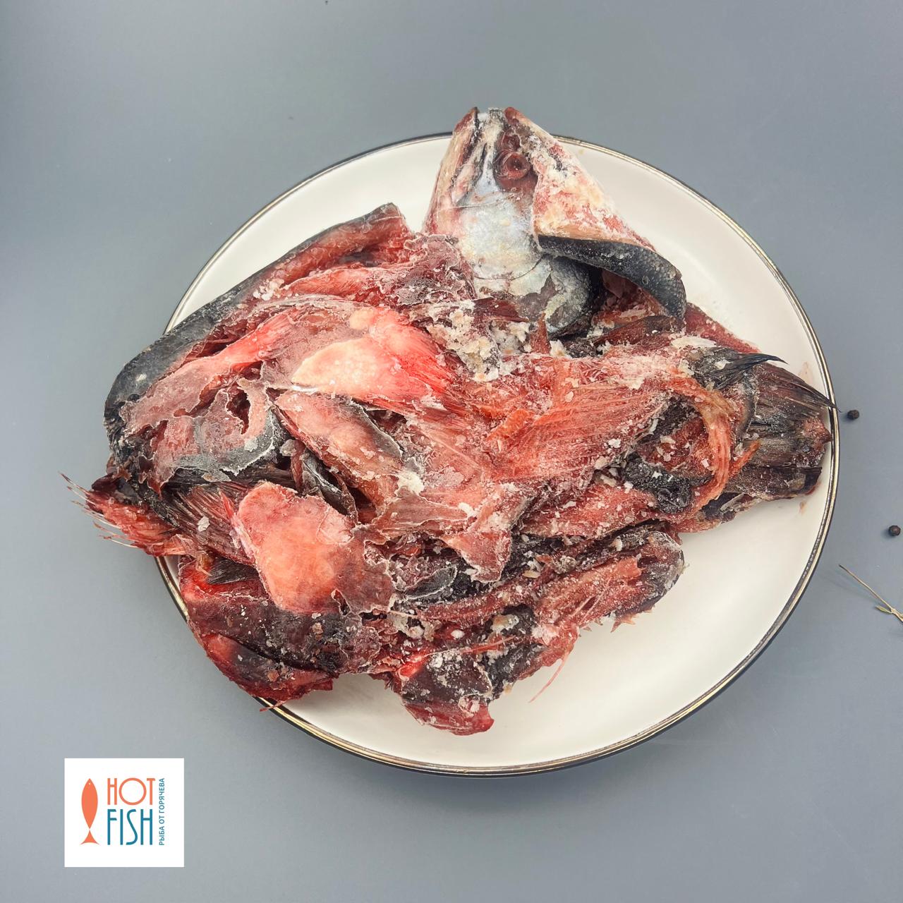 WhatsApp Image 2025-08-11 at 14.38.18 (2)