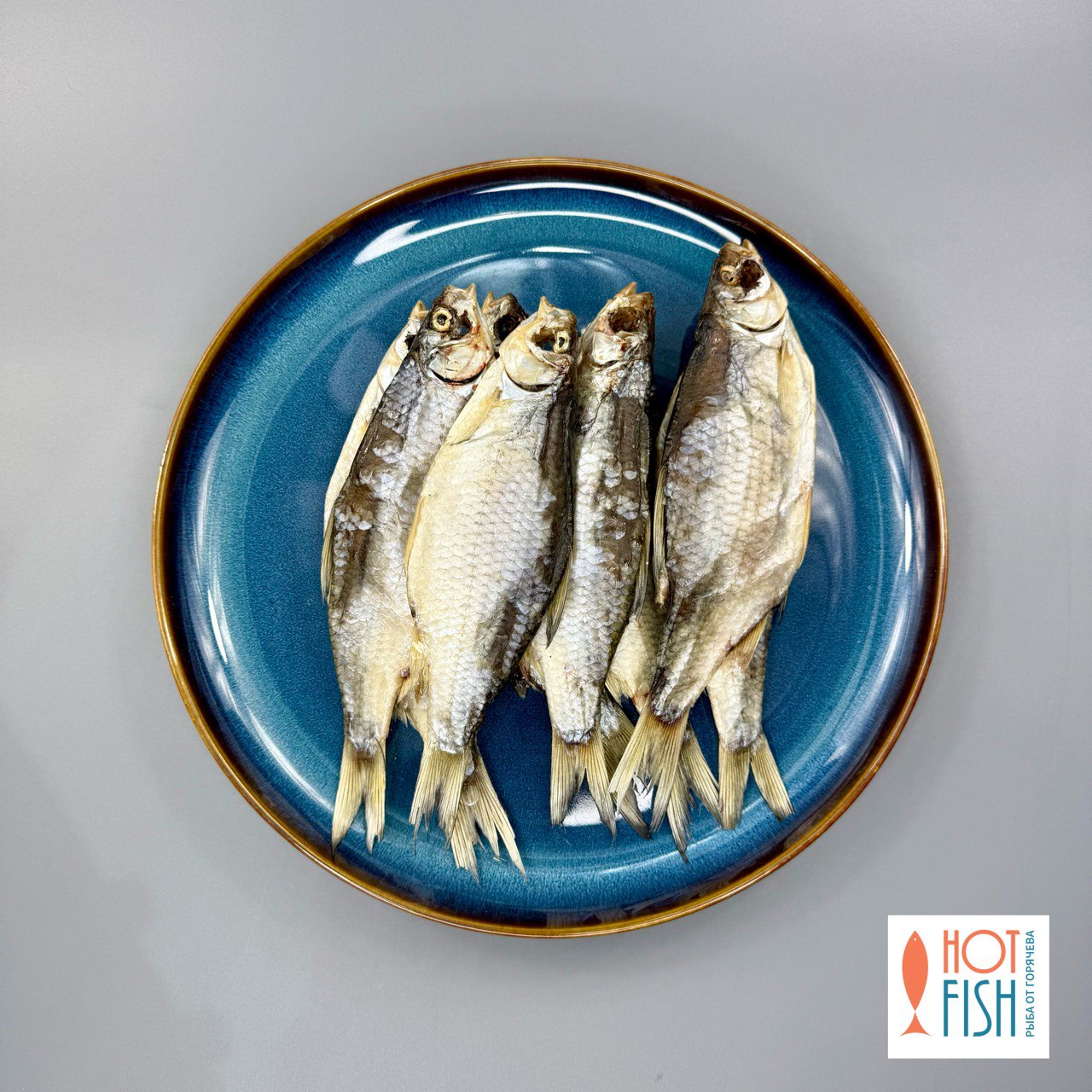 photo_5280859094883440067_y