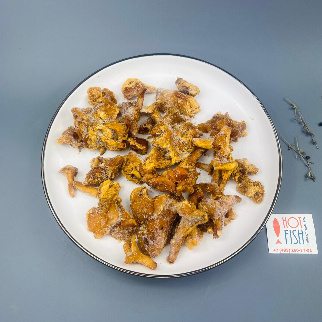 WhatsApp Image 2025-06-25 at 12.48.46