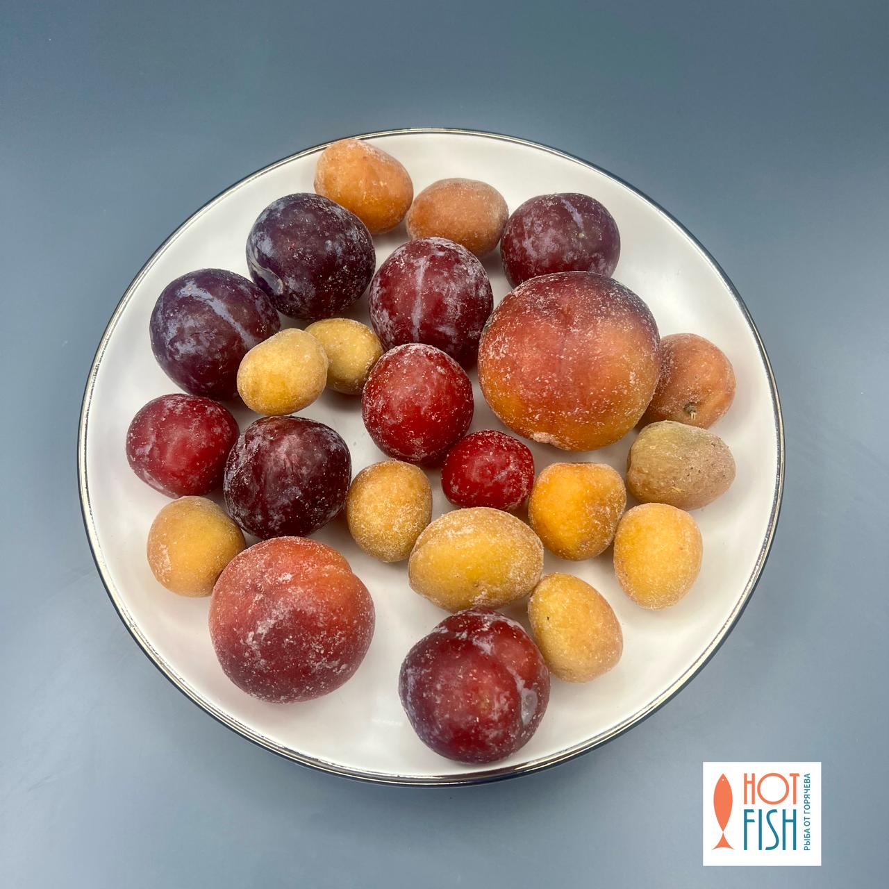 WhatsApp Image 2025-11-12 at 12.44.57 (1)