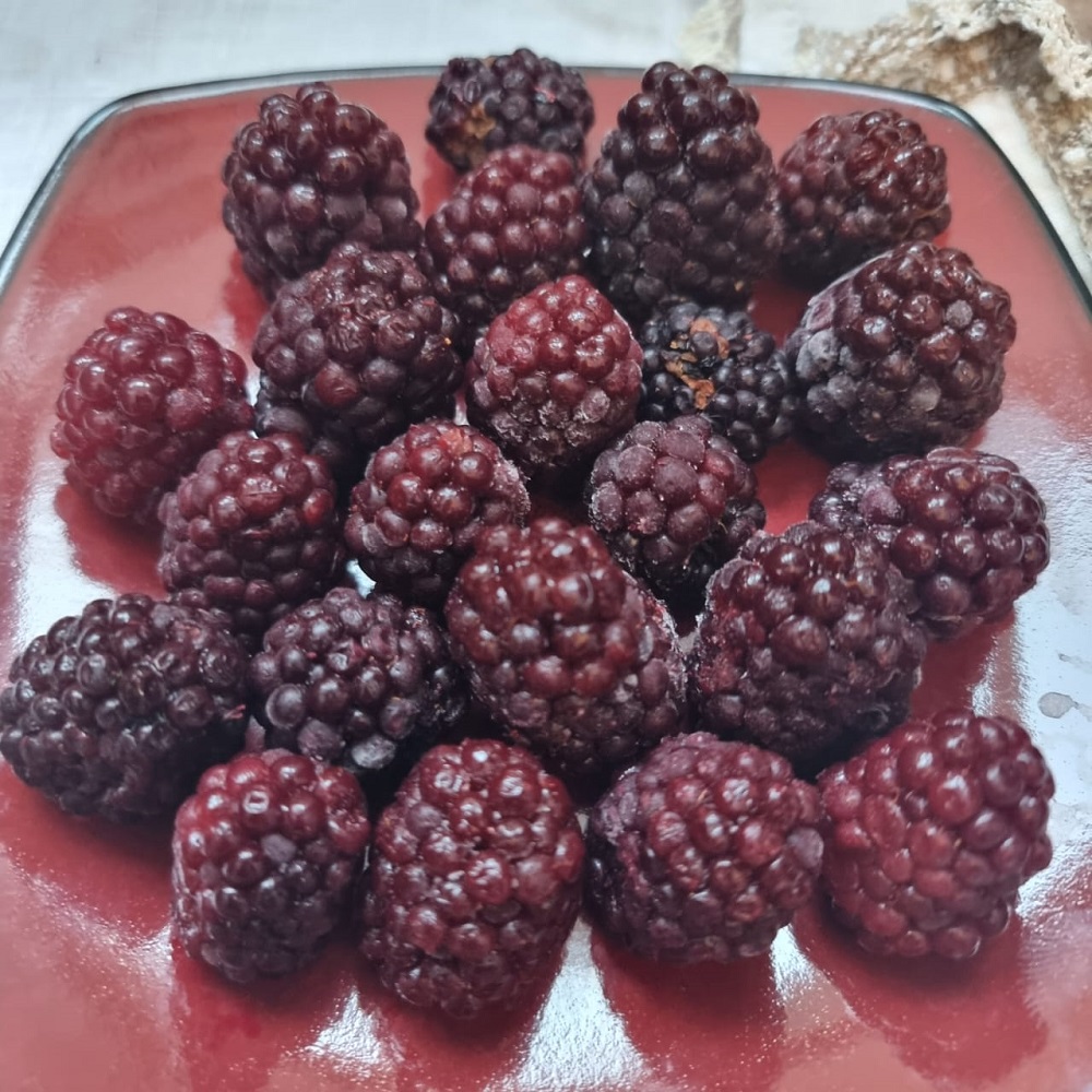 ежевика 1