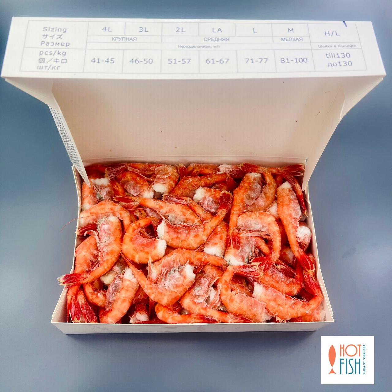 WhatsApp Image 2025-09-04 at 12.45.21