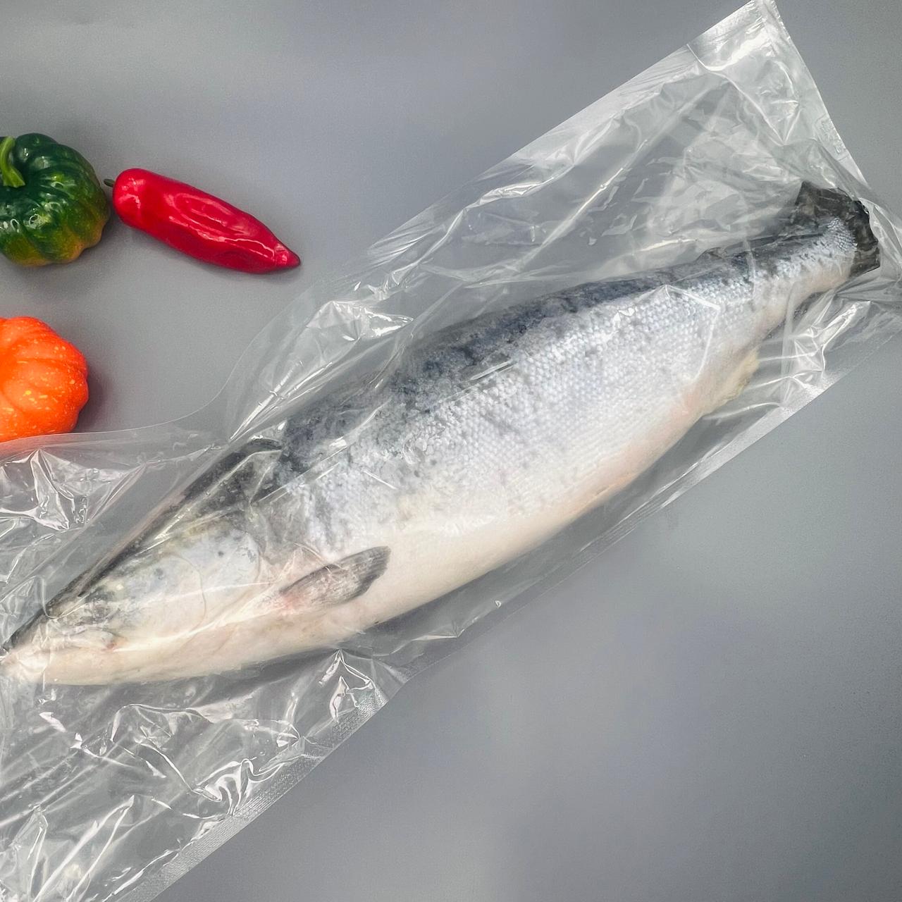 WhatsApp Image 2024-12-18 at 15.17.22 WhatsApp Image 2024-12-18 at 15.17.22