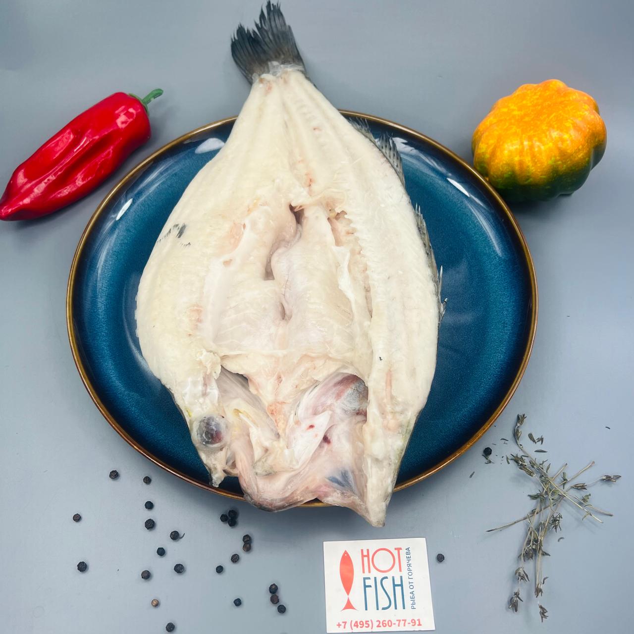 WhatsApp Image 2025-04-30 at 15.41.53