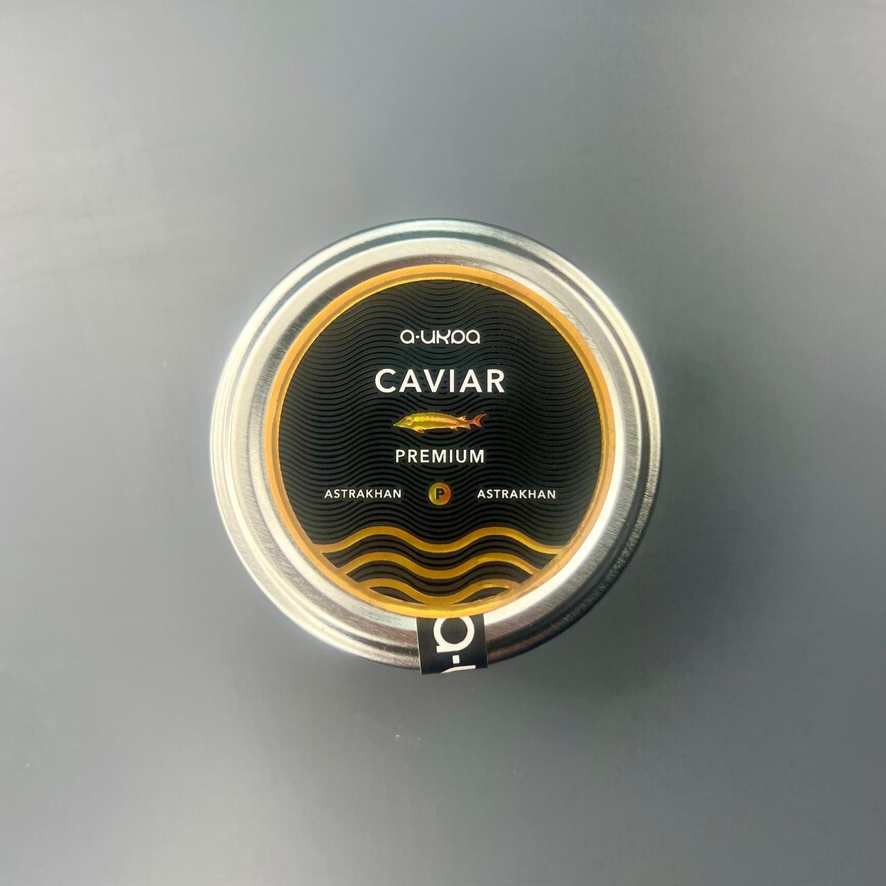 WhatsApp Image 2025-10-31 at 16.51.31