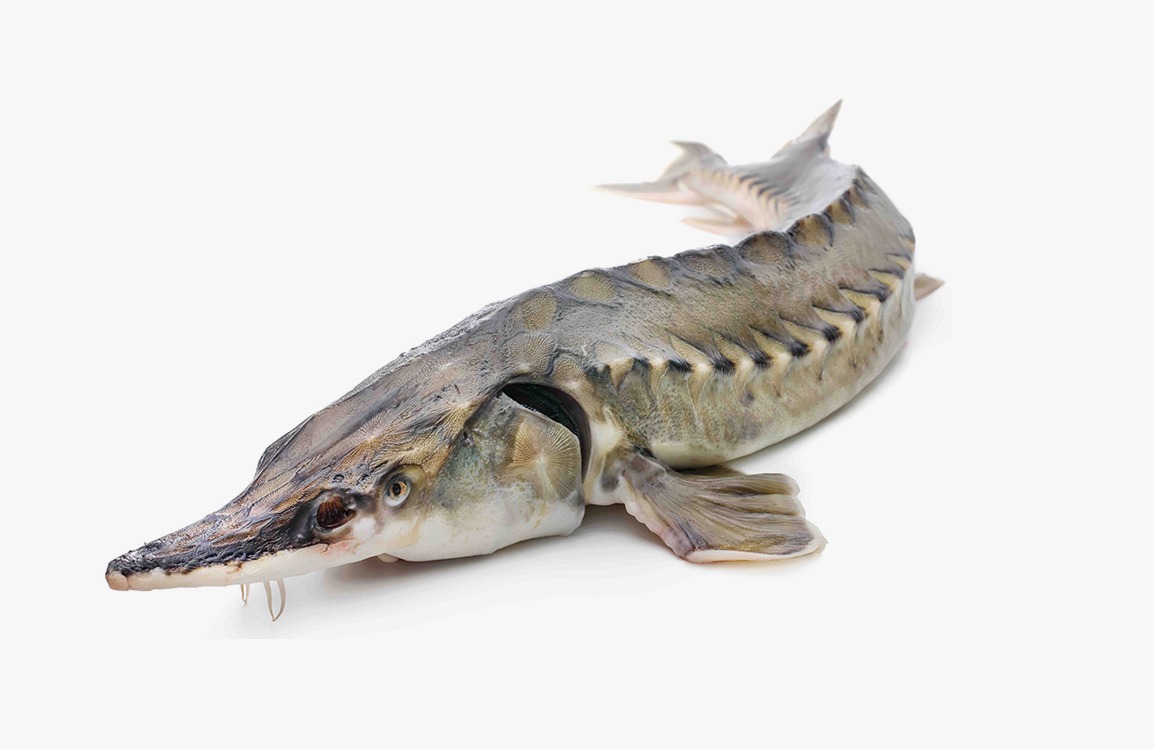 WhatsApp Image 2025-02-24 at 13.54.56 WhatsApp Image 2025-02-24 at 13.54.56