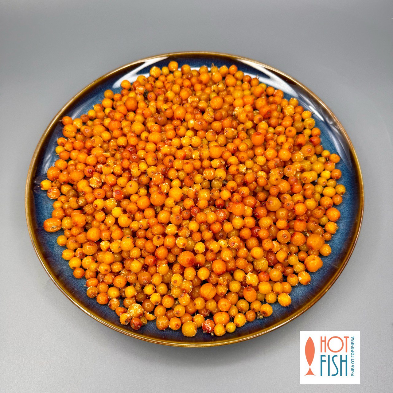 photo_5470127995696647273_y