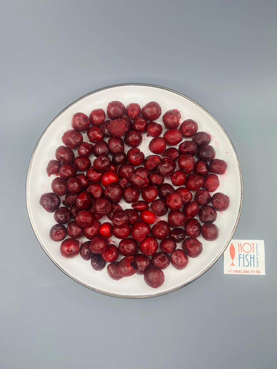 WhatsApp Image 2025-06-25 at 12.31.38