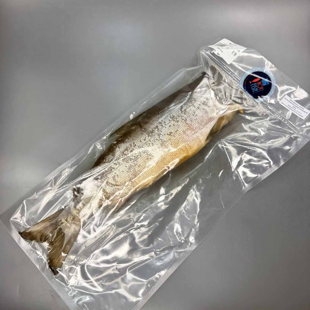 photo_5291870927173914106_y