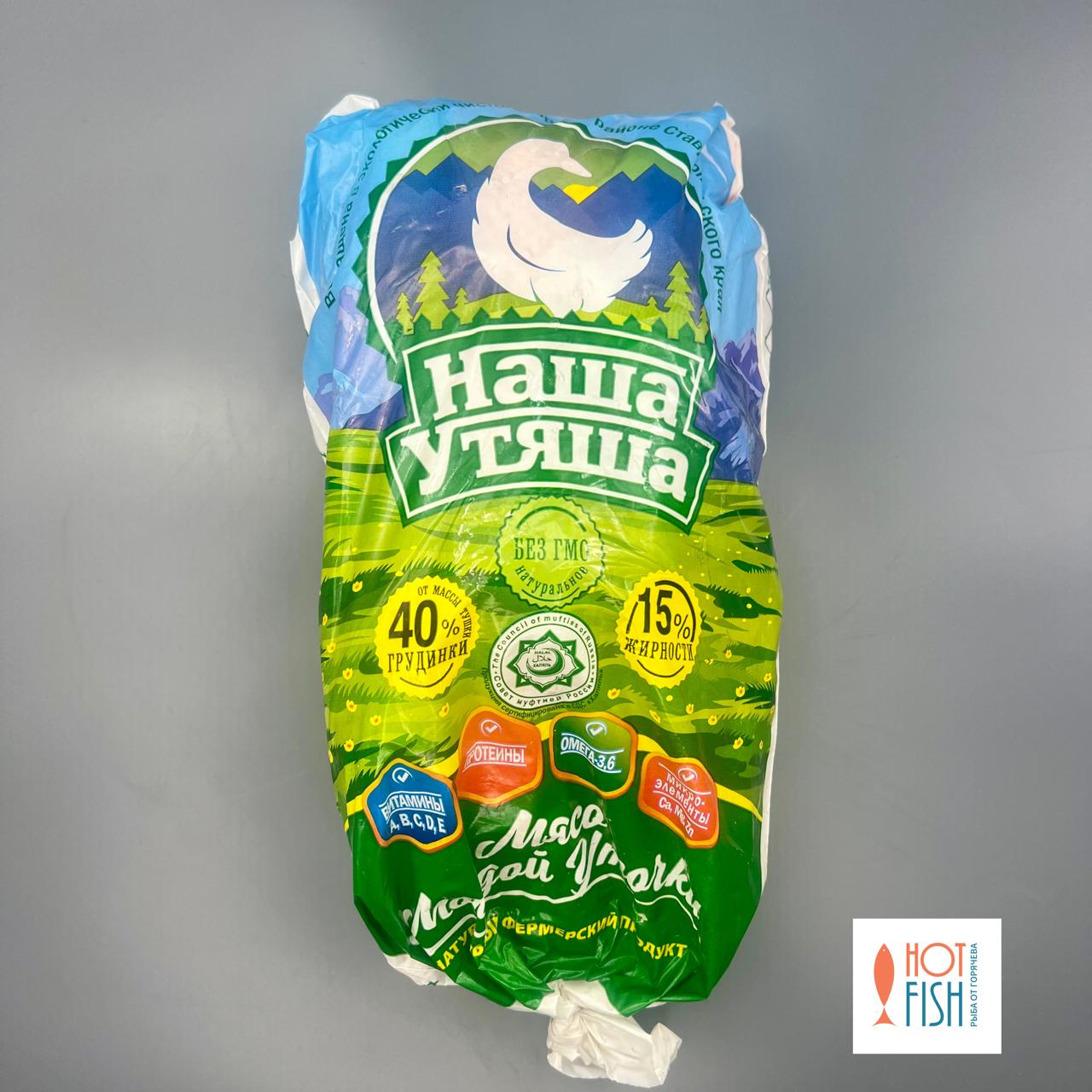 WhatsApp Image 2025-09-17 at 17.35.27 (1)