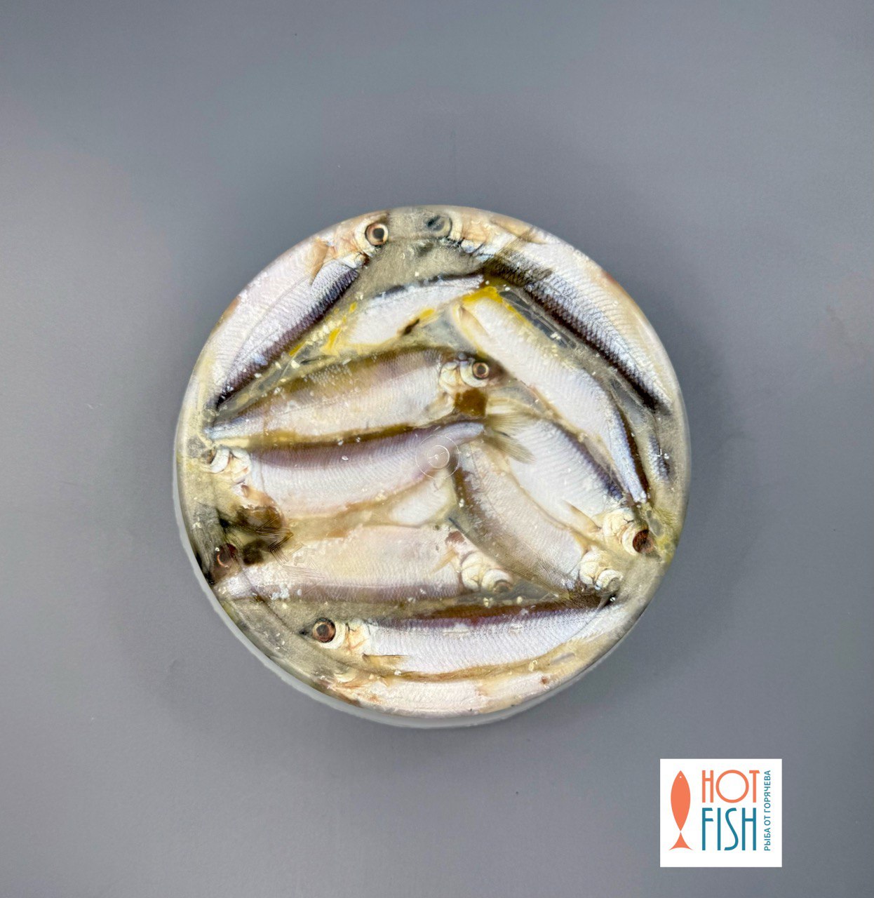 photo_5460921995290677210_y