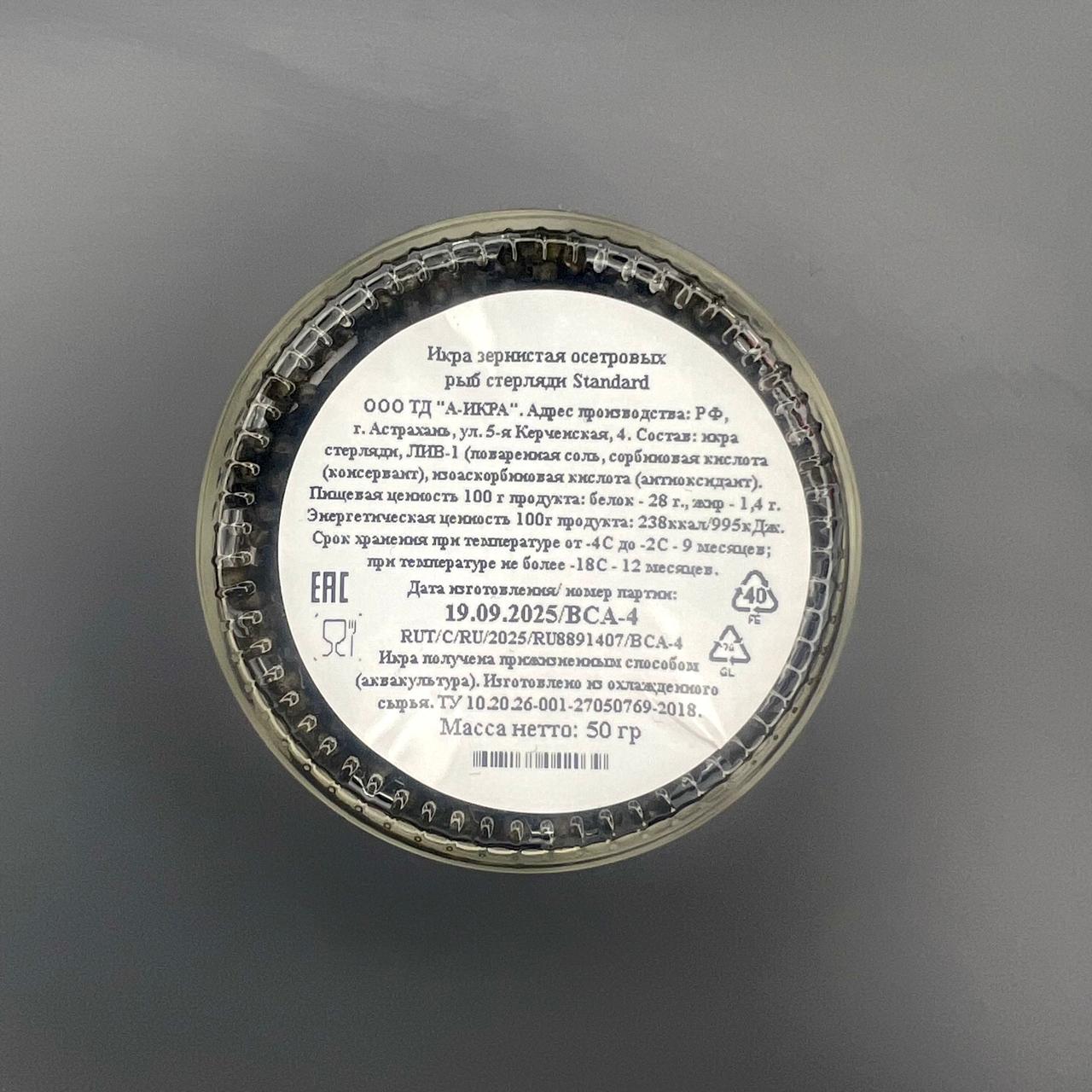 WhatsApp Image 2025-10-31 at 16.49.48 (1)