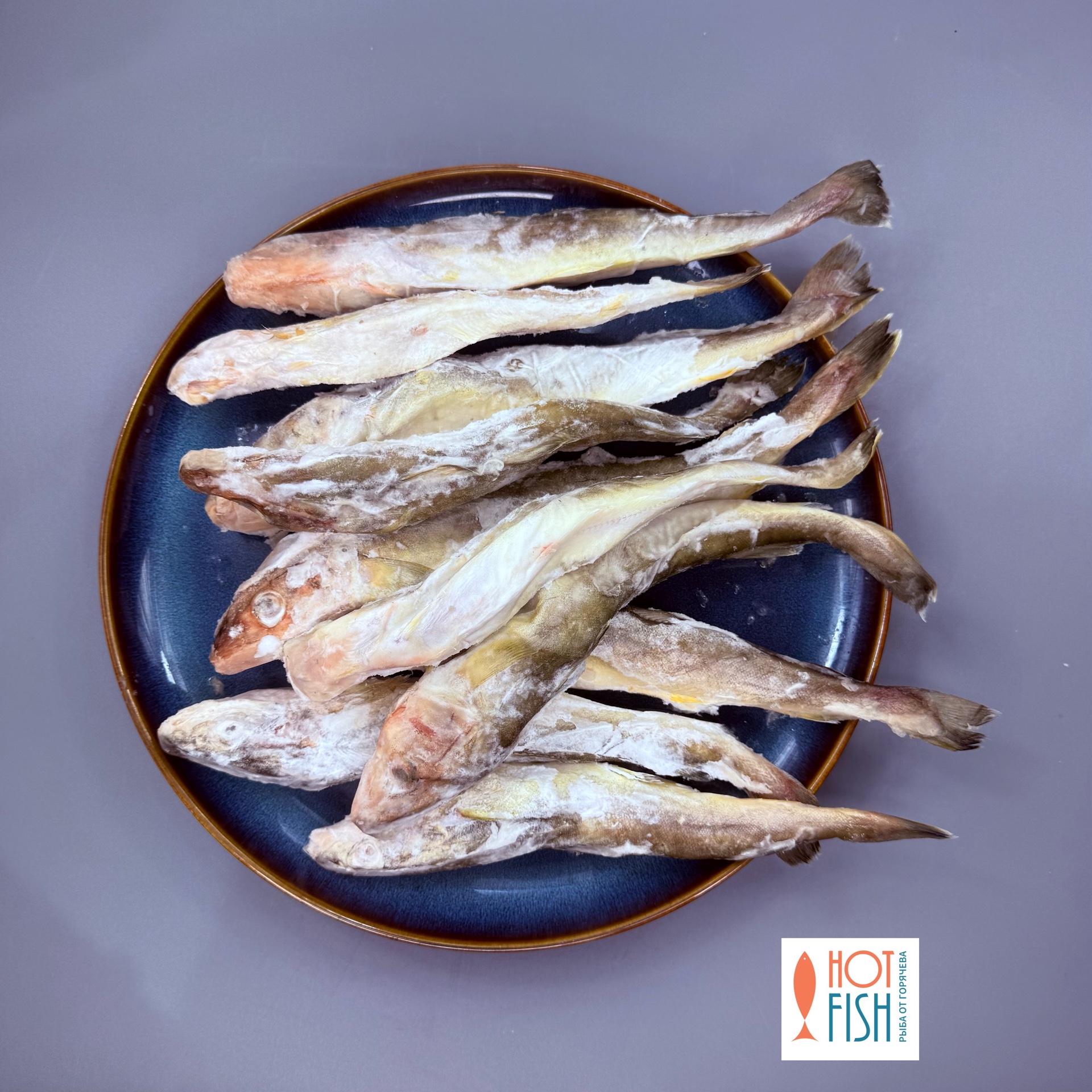 image-15-04-26-03-55-8