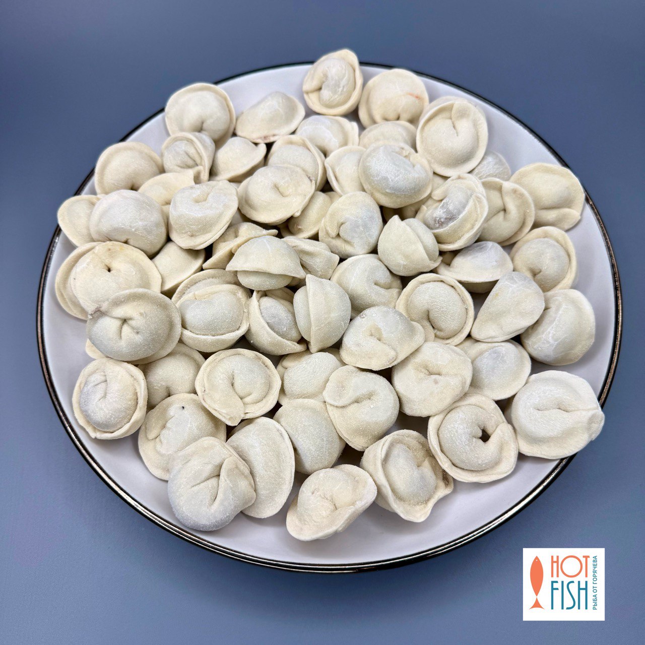 photo_5301002375537562831_y