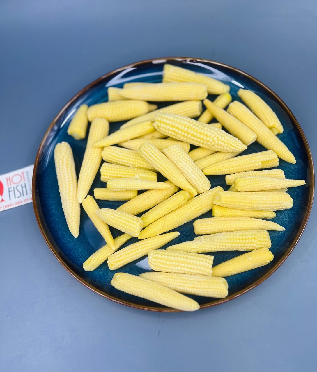 WhatsApp Image 2025-03-25 at 16.57.23 (1)