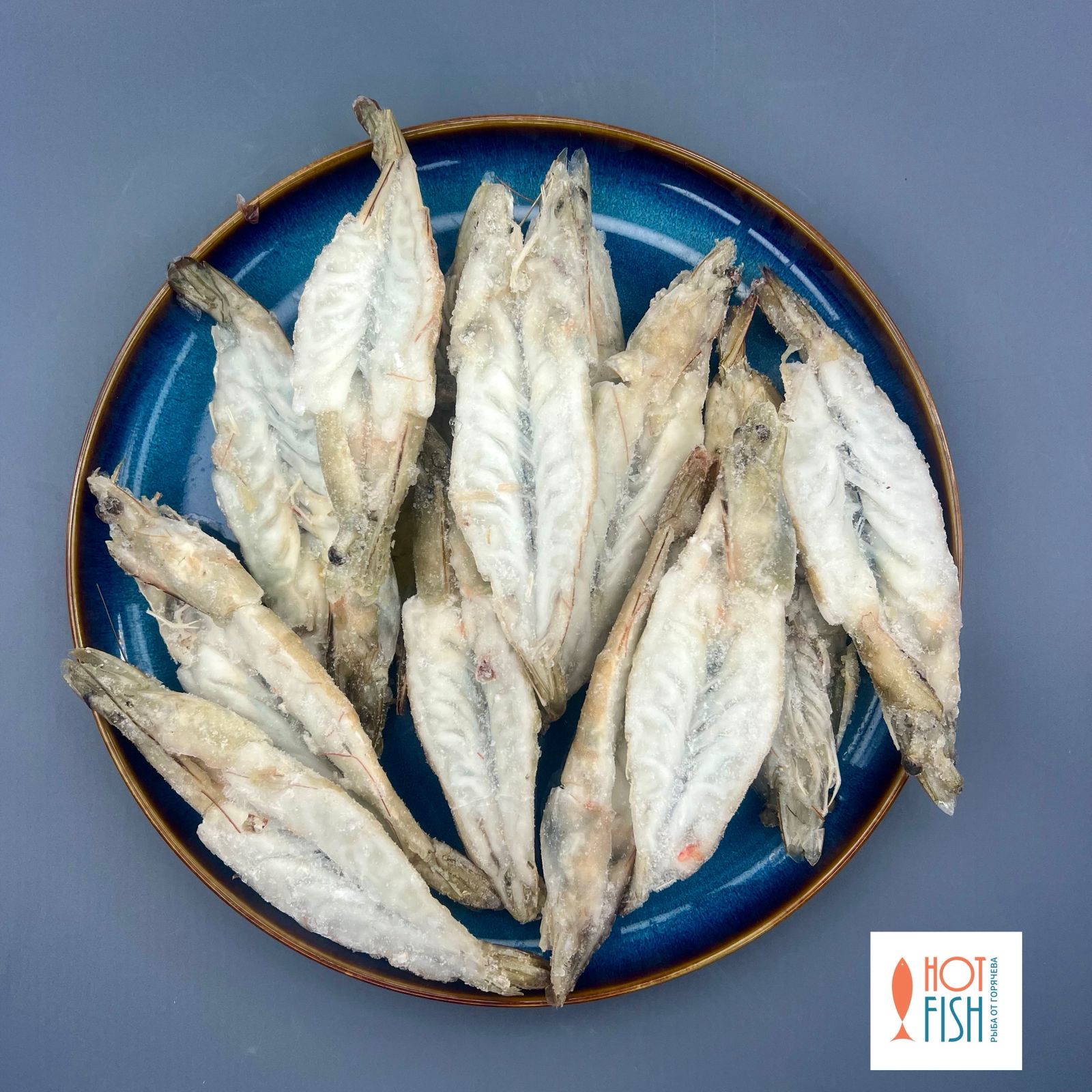 WhatsApp Image 2025-08-14 at 16.57.13