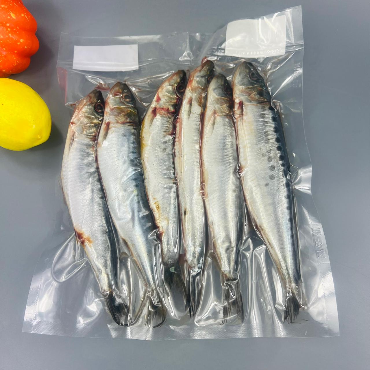 WhatsApp Image 2025-01-23 at 10.43.34 WhatsApp Image 2025-01-23 at 10.43.34