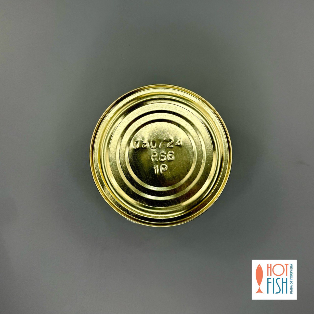 photo_5222414880726521015_y