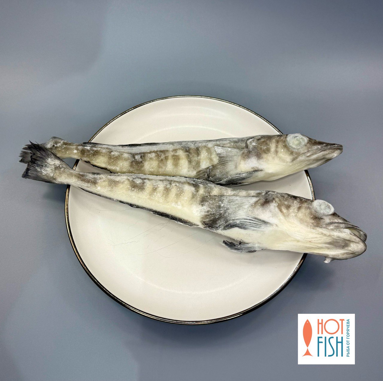 photo_5242508846566150844_y