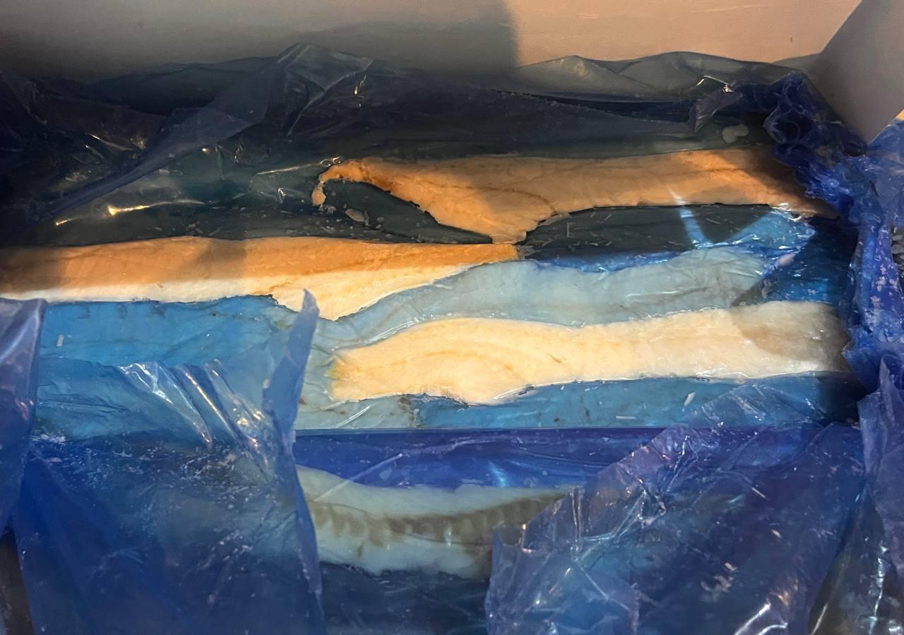 WhatsApp Image 2025-06-26 at 17.40.33