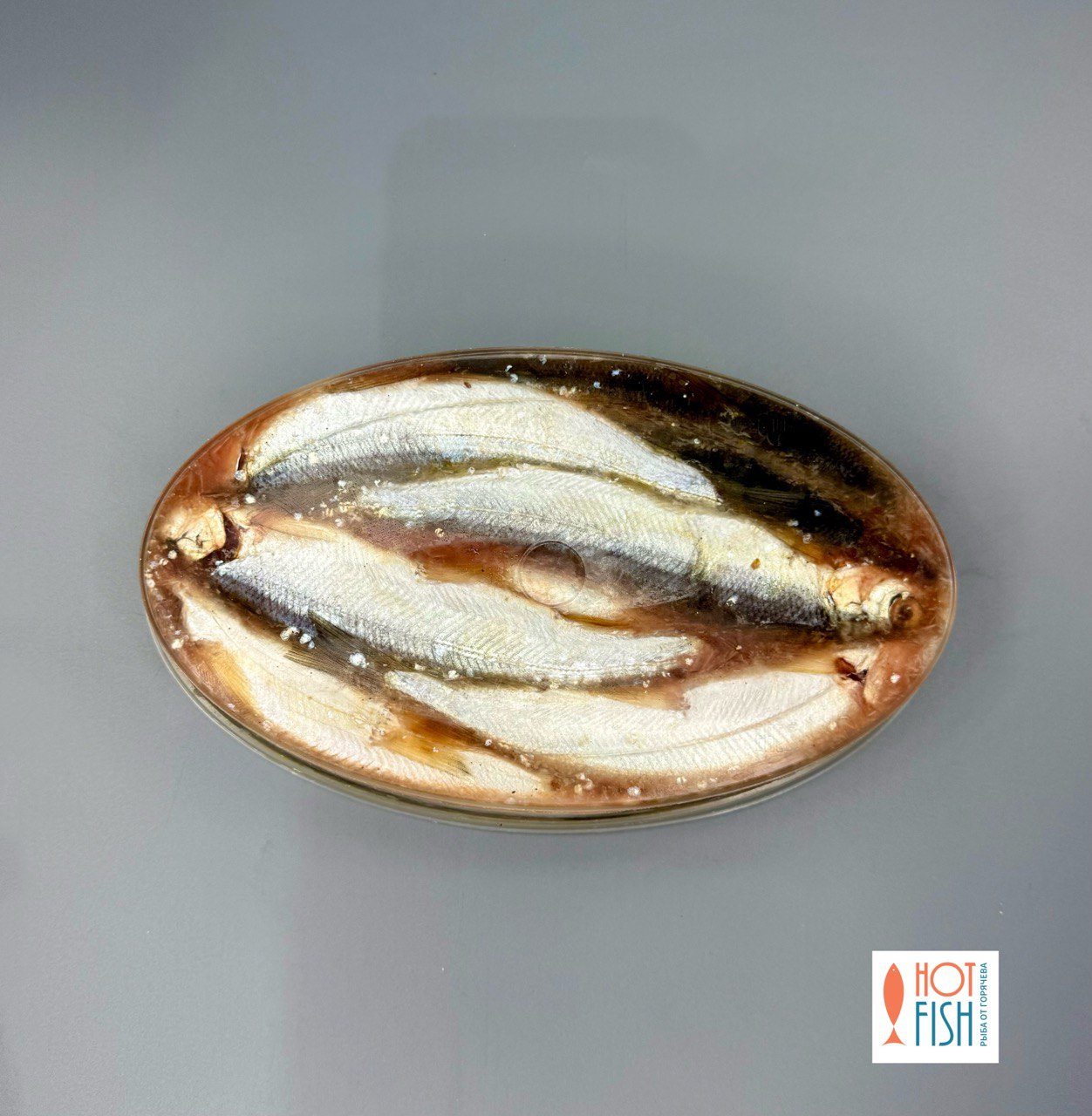 photo_5460921995290677196_y