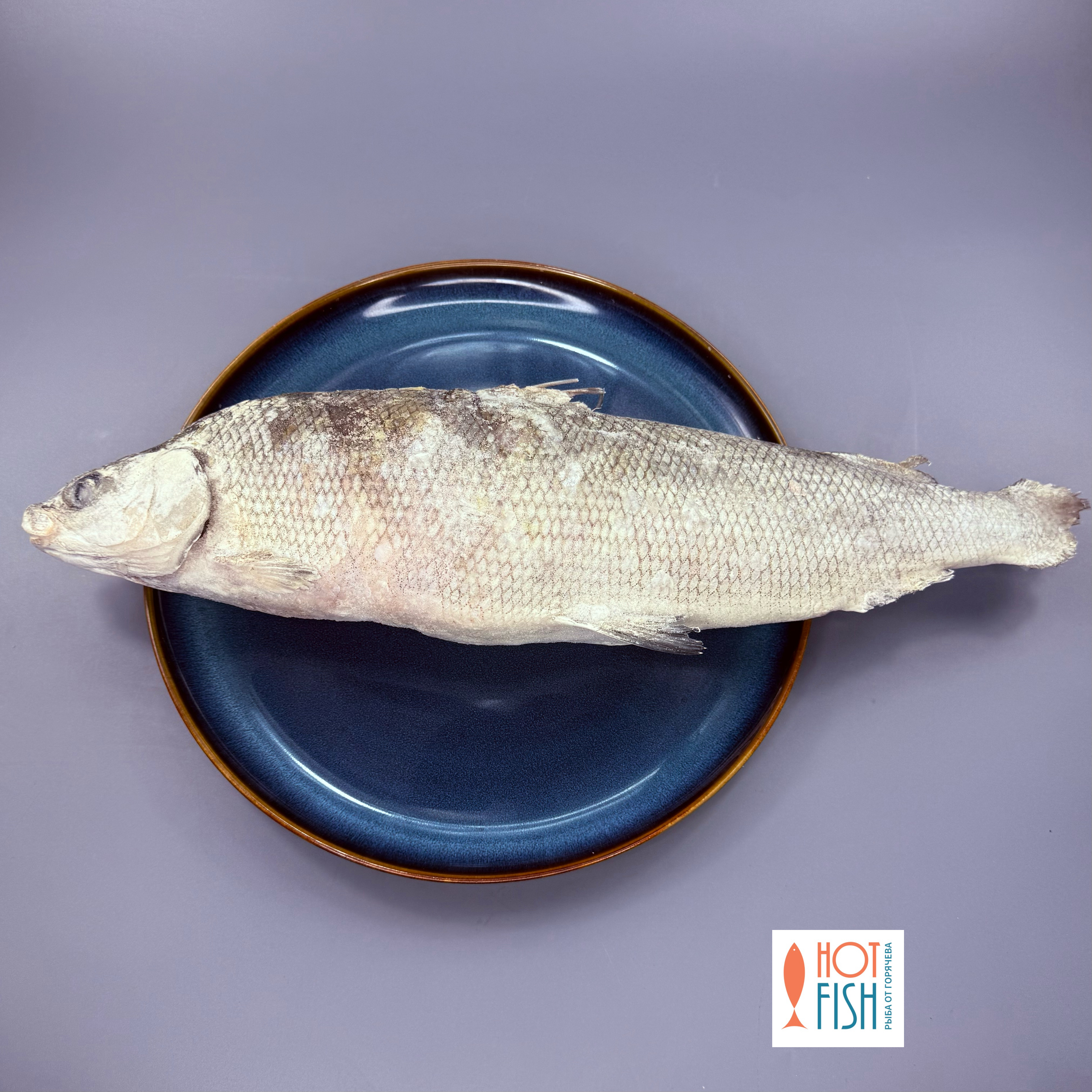 copy_A98DD2E3-8033-42EF-B63B-09ACE1ADE5AF