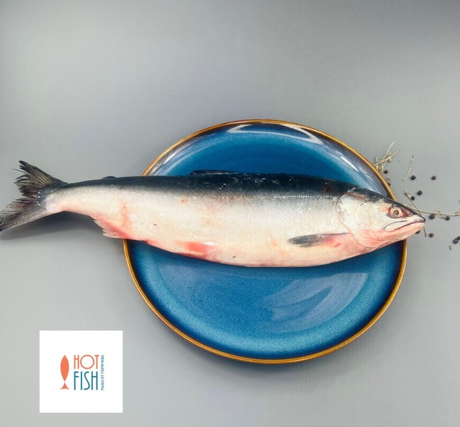 WhatsApp Image 2025-09-01 at 10.21.37