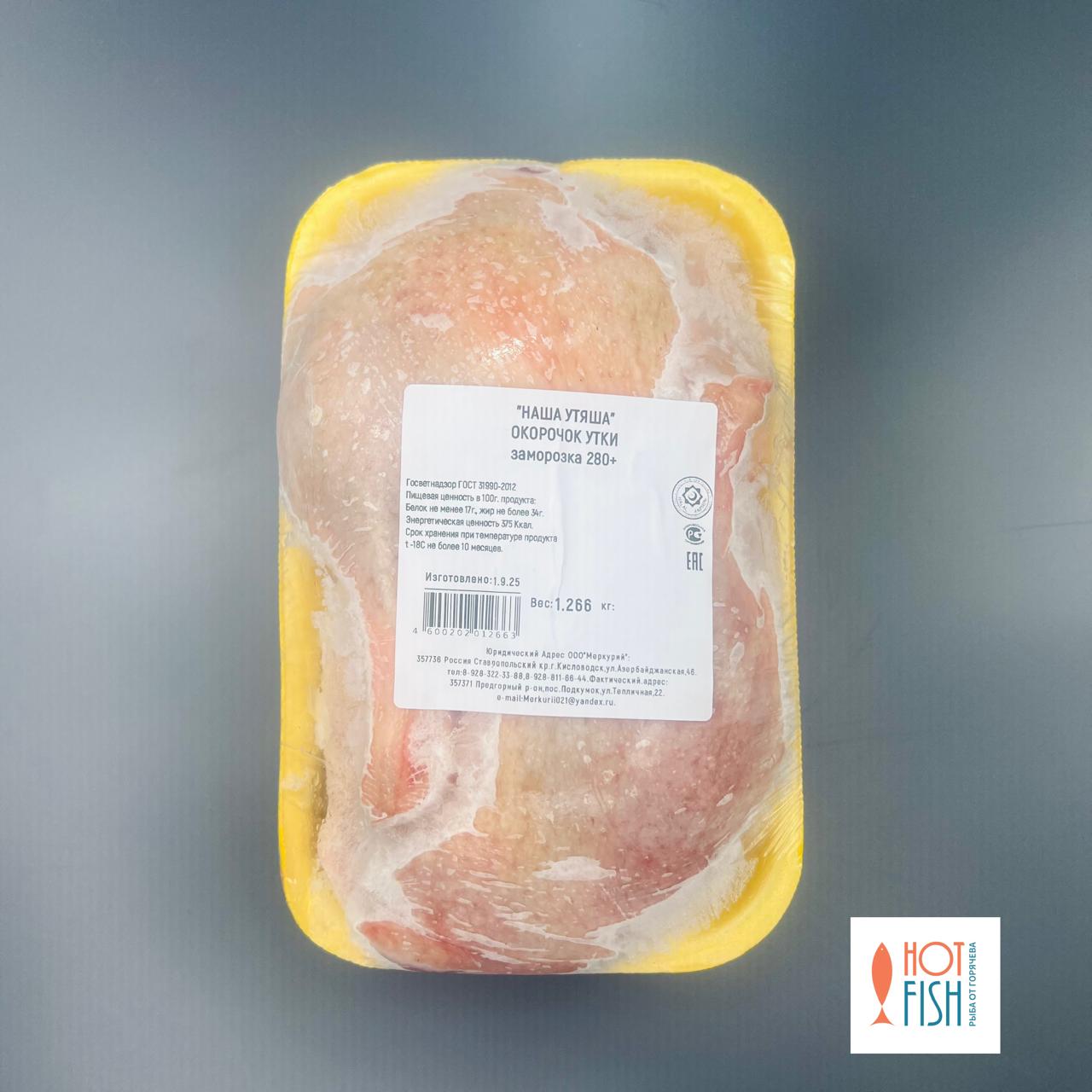 WhatsApp Image 2025-09-16 at 11.45.50 WhatsApp Image 2025-09-16 at 11.45.50