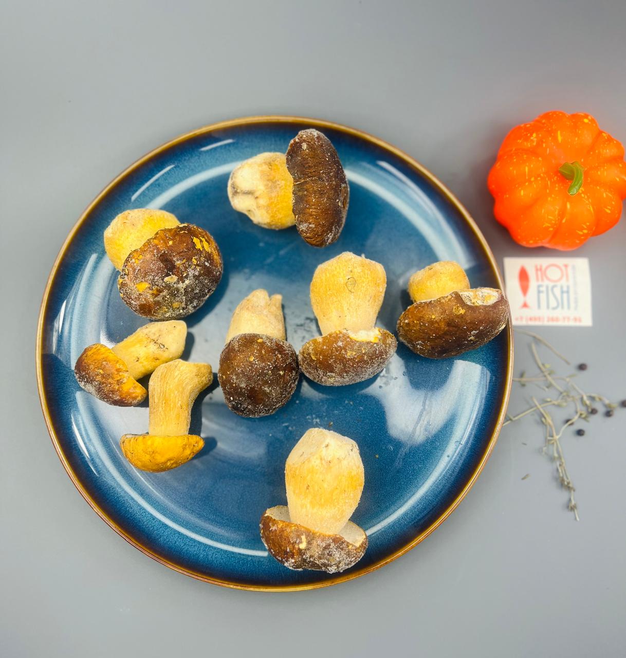 WhatsApp Image 2025-06-25 at 12.08.24