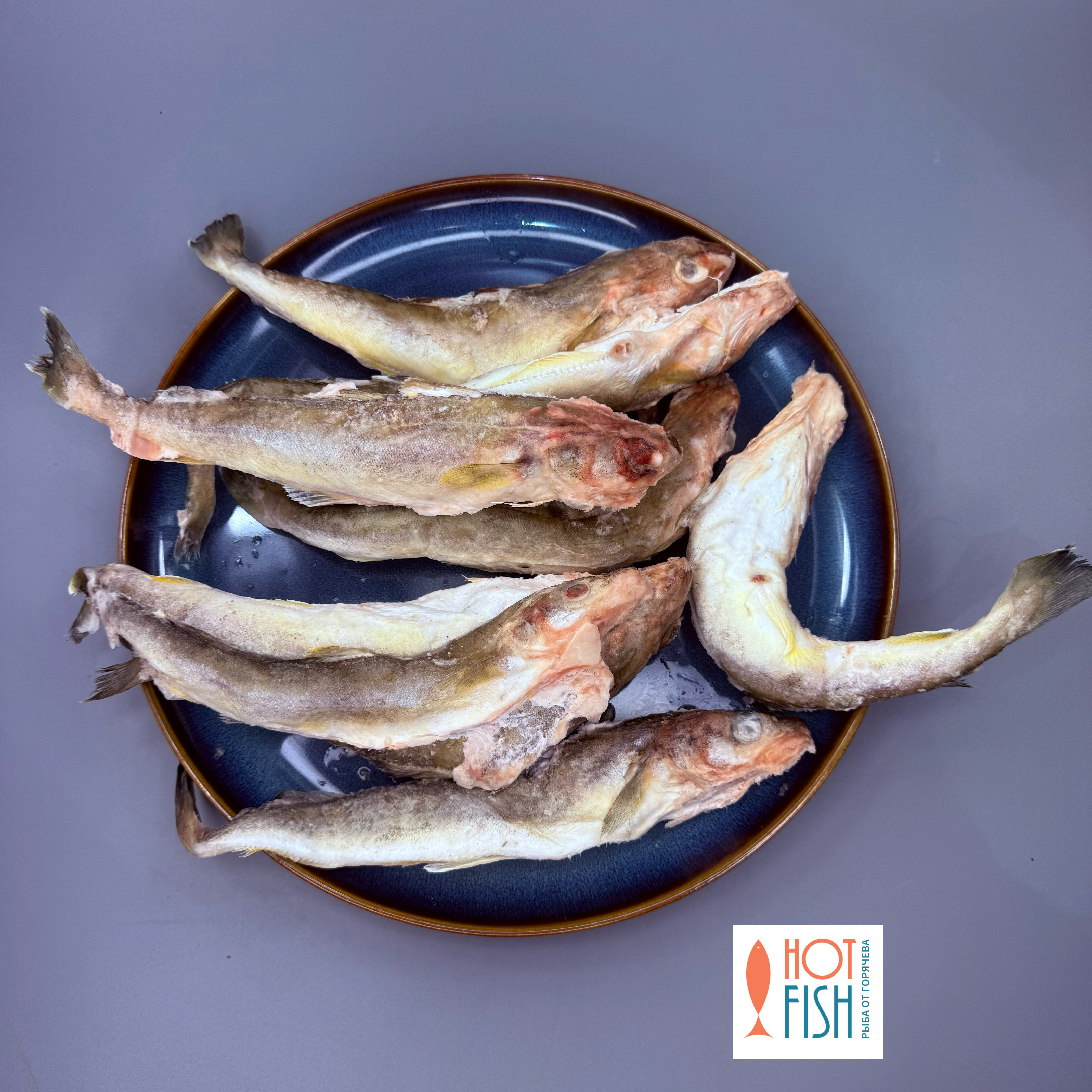 copy_954DA40B-FF75-4131-A203-3F9A92525F2B