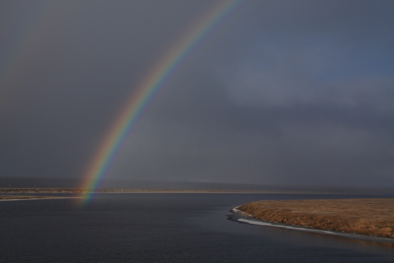 149027_original 149027_original