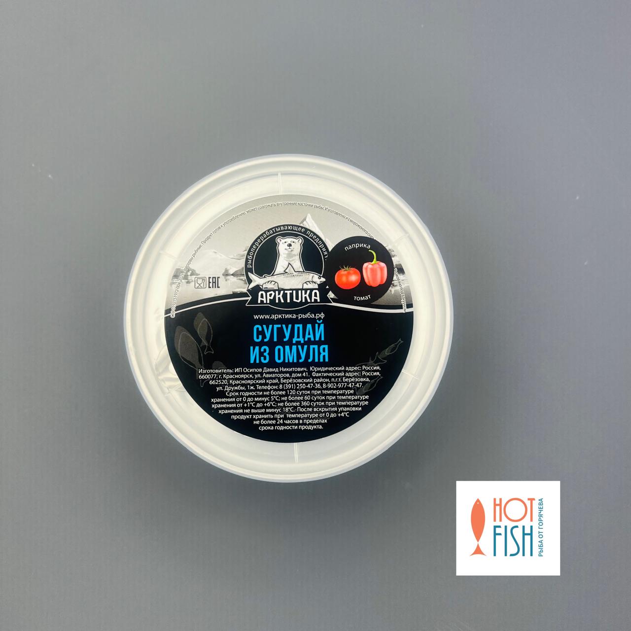 WhatsApp Image 2025-07-29 at 13.21.41