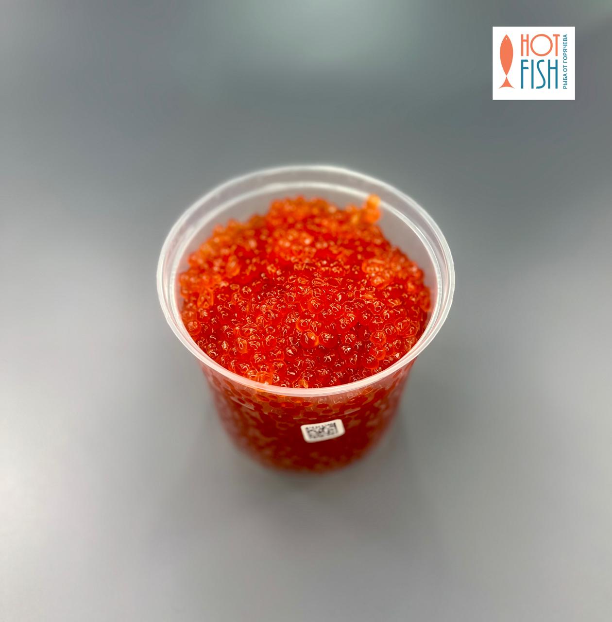 WhatsApp Image 2025-09-29 at 17.51.43