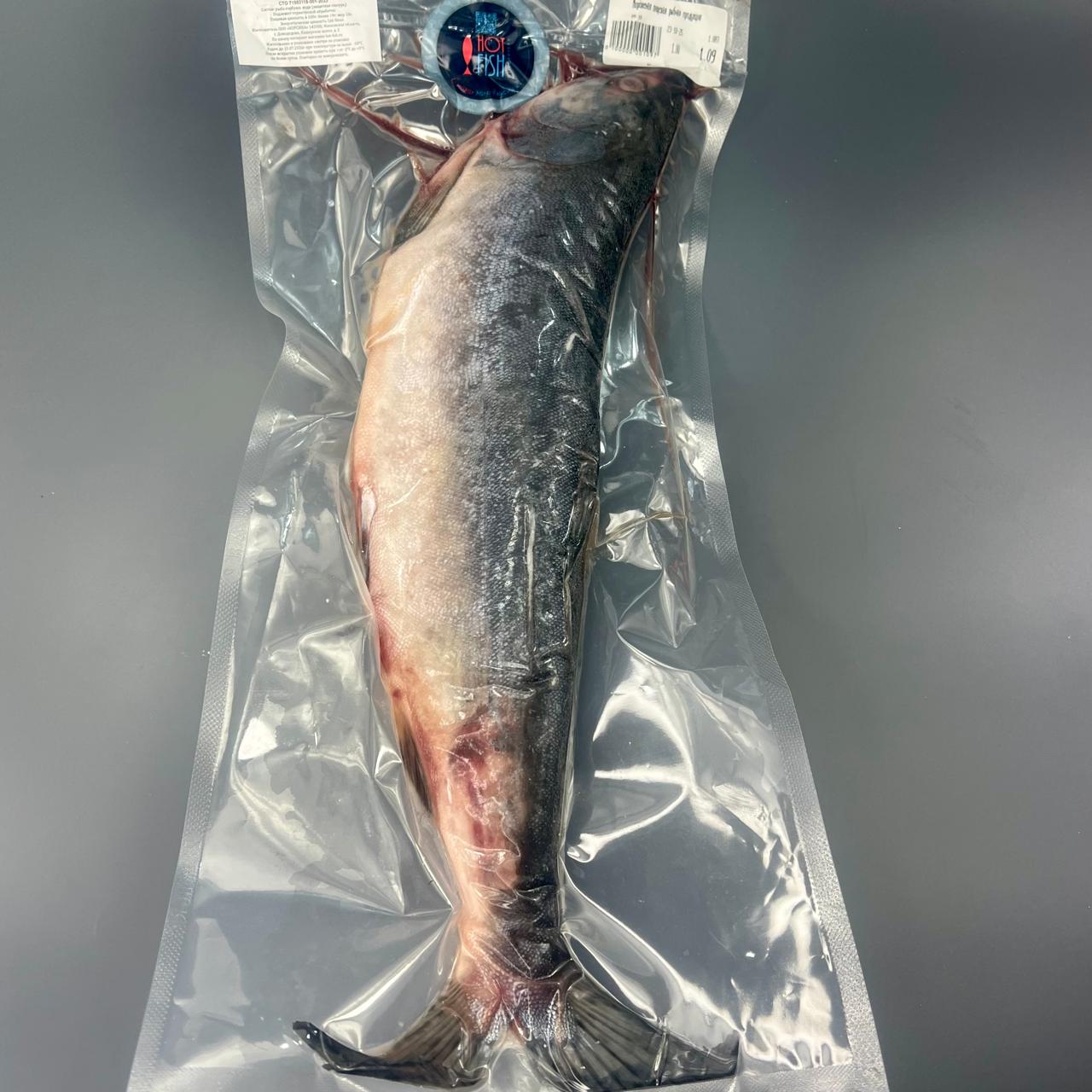 WhatsApp Image 2025-10-24 at 17.14.52 (3) WhatsApp Image 2025-10-24 at 17.14.52 (3)