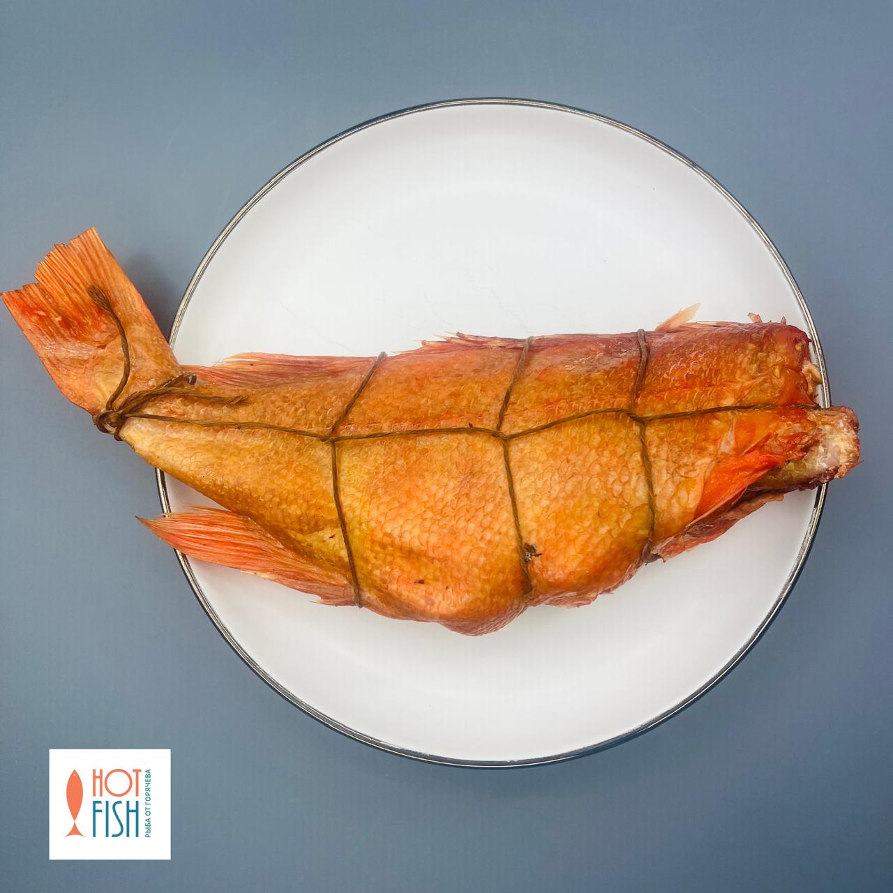 WhatsApp Image 2025-08-27 at 17.27.34 (1)