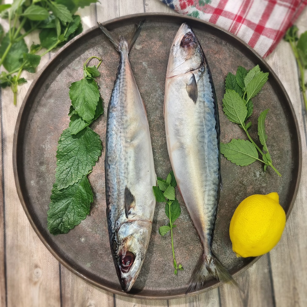 Скумбрия макрель, неразделанная, ~1,2 кг