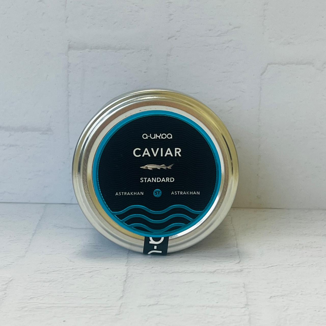 WhatsApp Image 2024-12-11 at 13.47.40