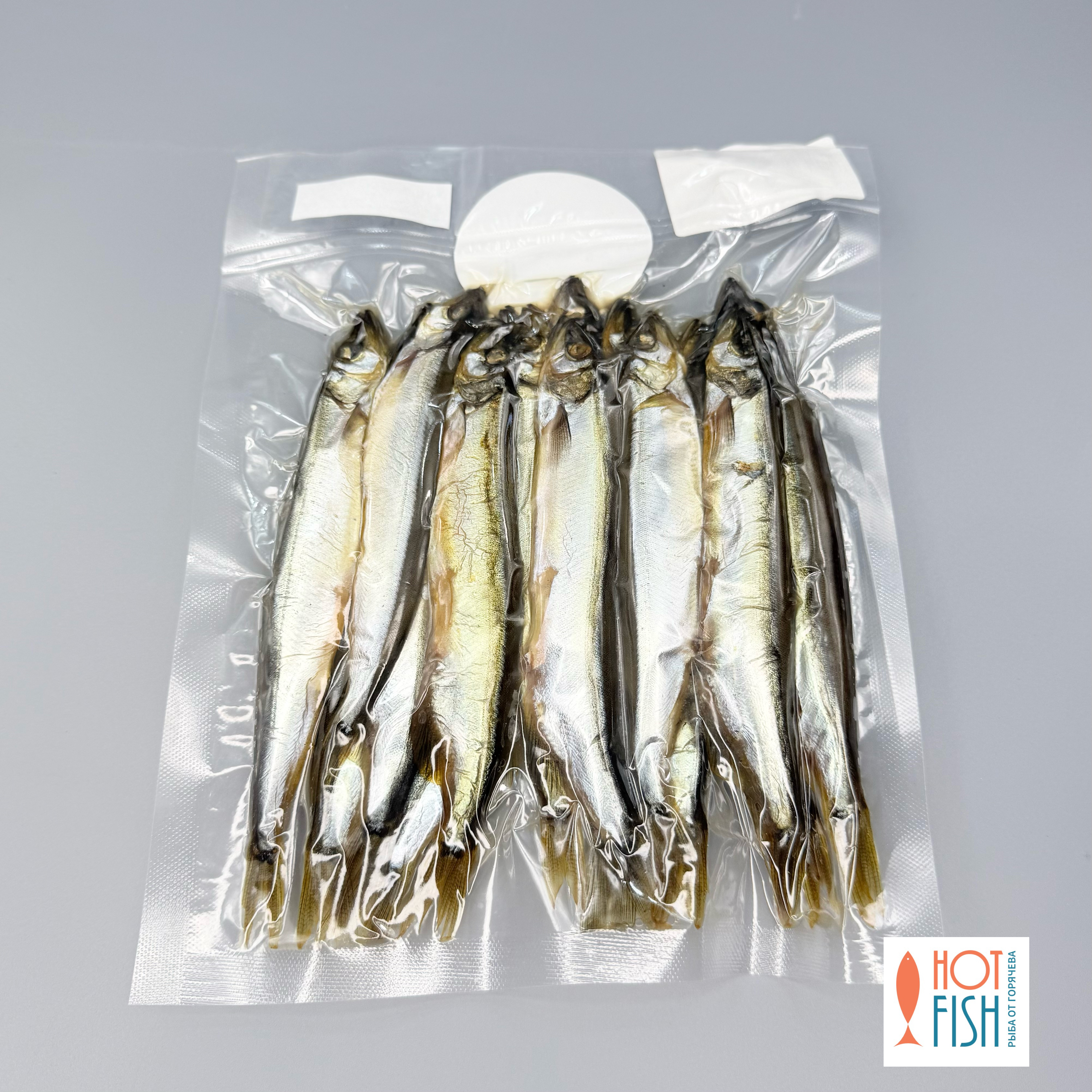 copy_CA9577BC-20F4-4844-863A-EF025DB9FBE5