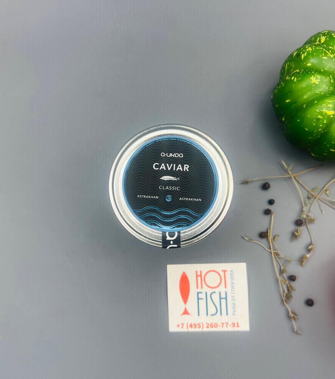 WhatsApp Image 2025-06-17 at 17.12.09 (2)