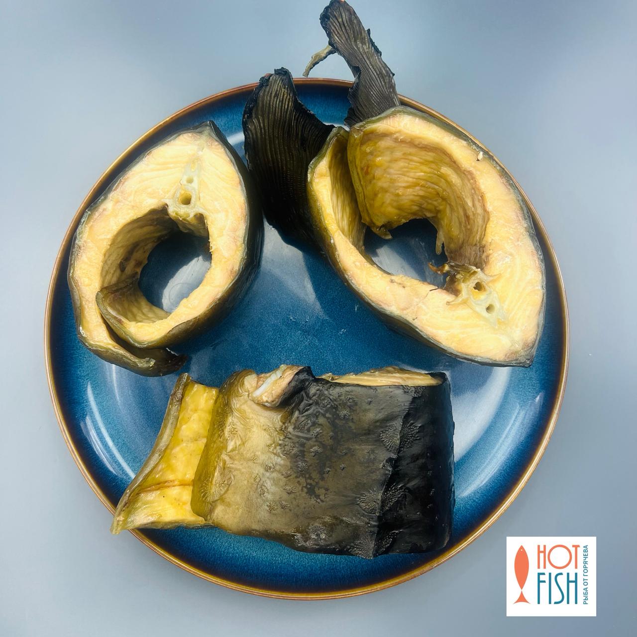 WhatsApp Image 2025-10-03 at 17.51.07